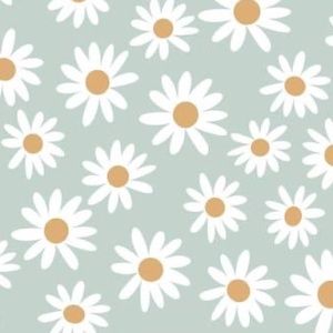 Meet your Posher, Brianne